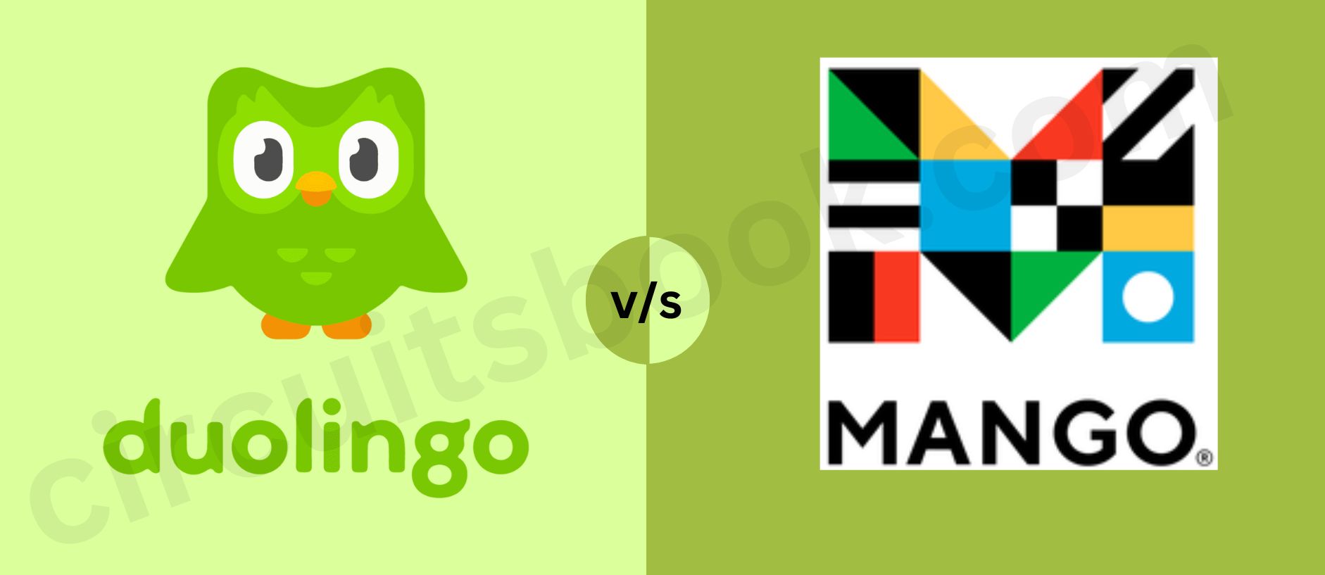 Duolingo Vs Mango Languages Which One To Choose In Cherish Study