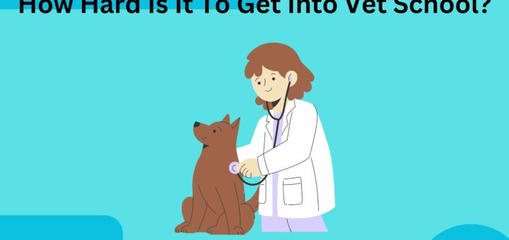 Is Vet school harder than Med school How Hard Is It To Get Into Vet School