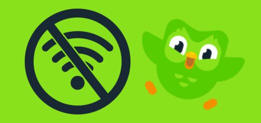 How to Use Duolingo Offline