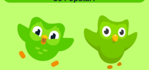 Meet The Duolingo Owl How It Became So Popular