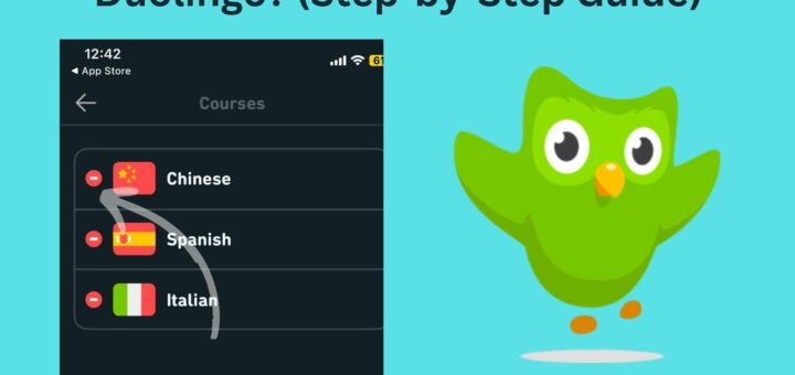 How to Remove a Language Course on Duolingo? (Step-by-Step Guide)