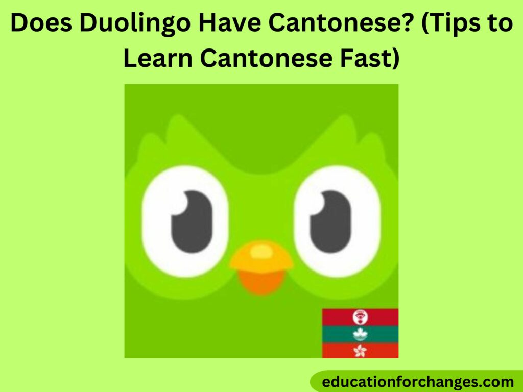Does Duolingo Have Cantonese? (Tips to Learn Cantonese Fast) Cherish Study