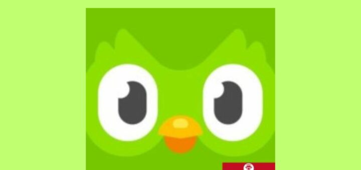 Does Duolingo Have Cantonese (Tips to Learn Cantonese Fast)