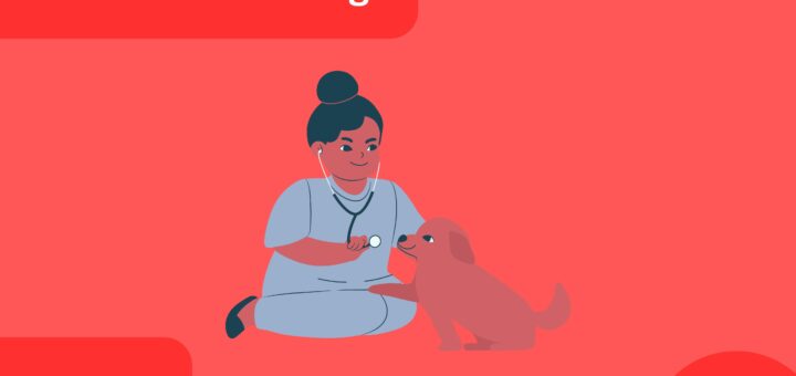 Supplemental ERAS application - Complete guide