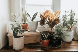 15 + Thank-You Gifts For Professors