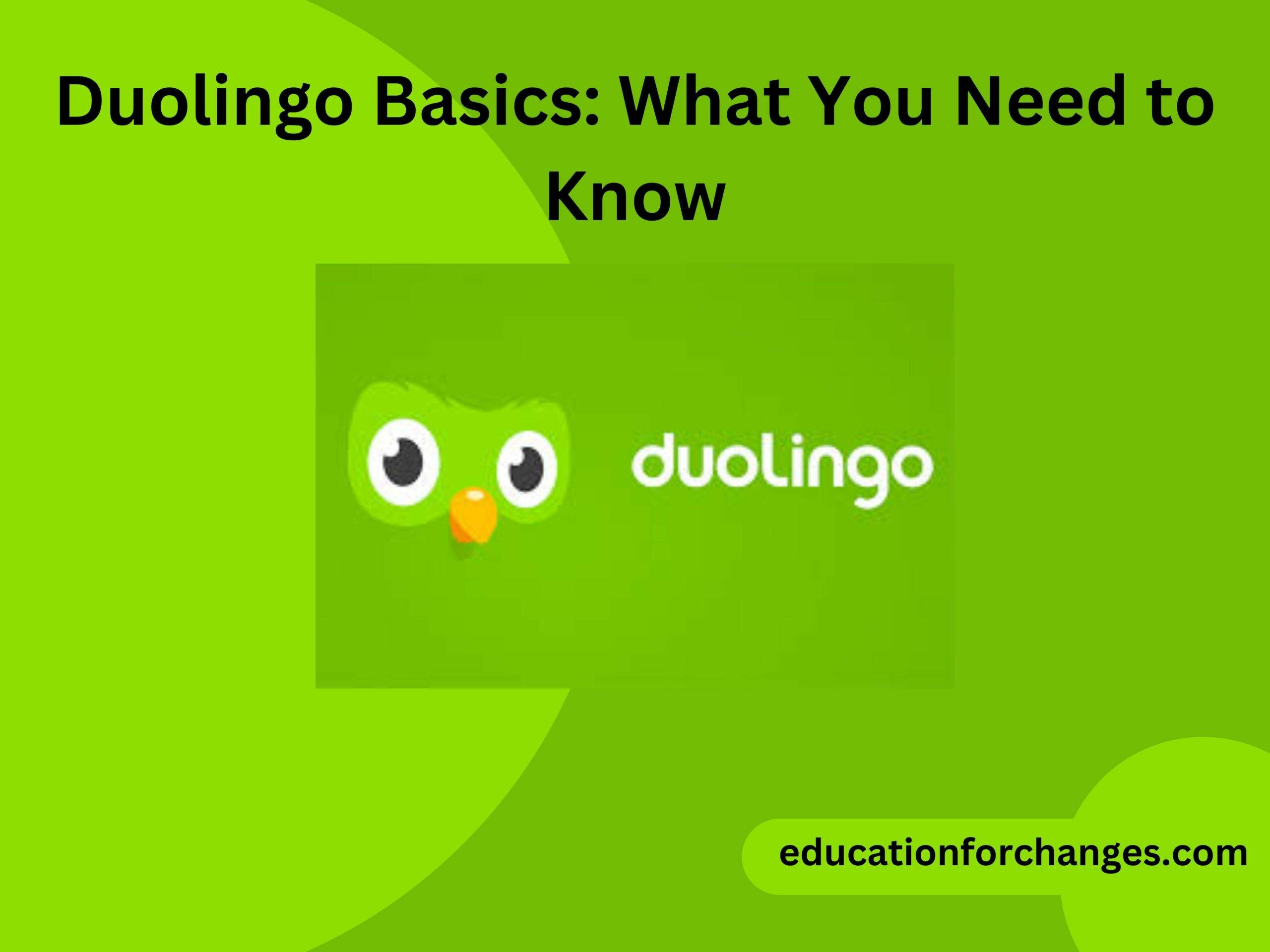 Duolingo Basics What You Need to Know