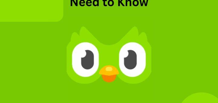 Duolingo Placement Test What You Need to Know