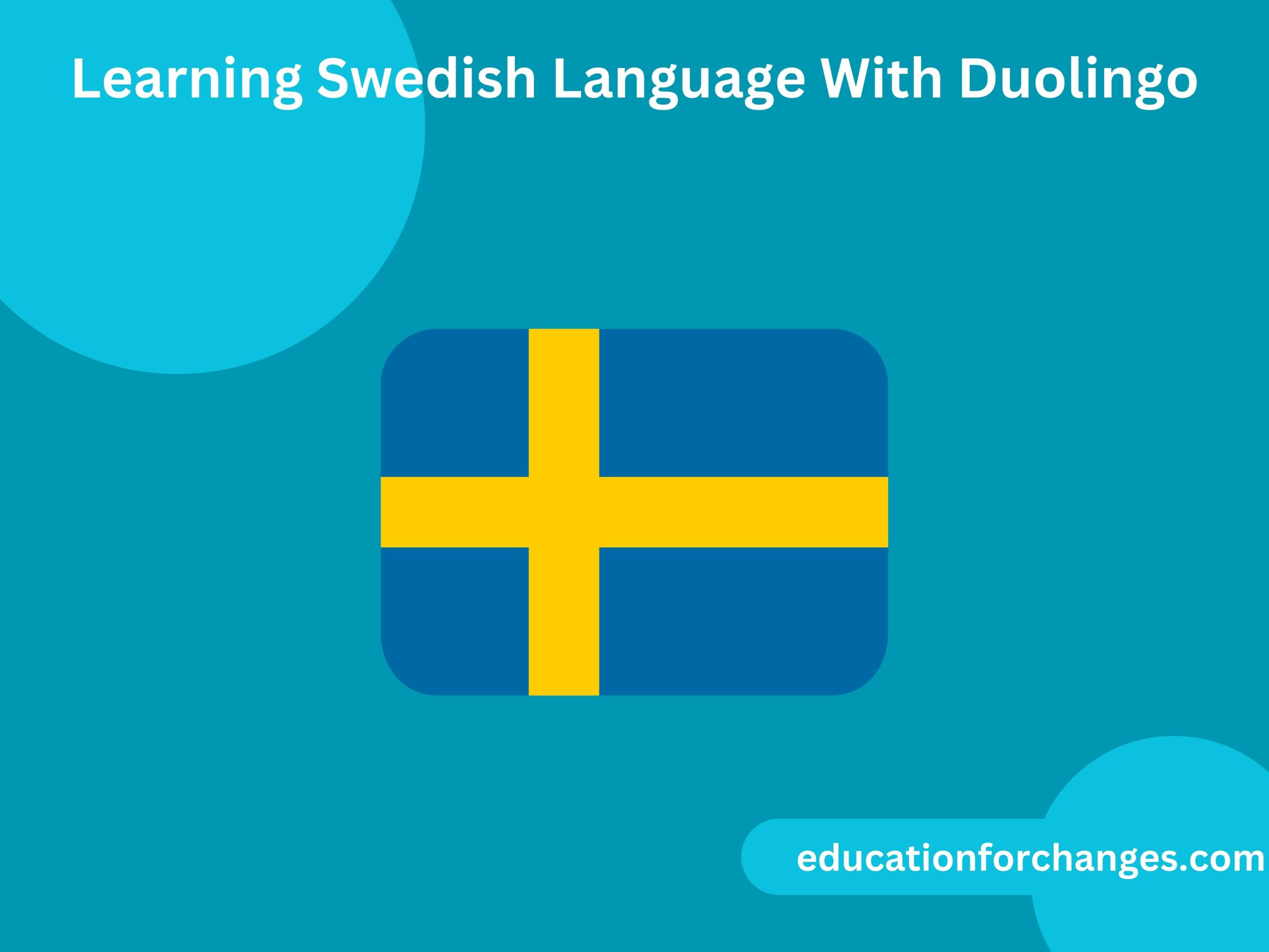 Learning Swedish Language With Duolingo