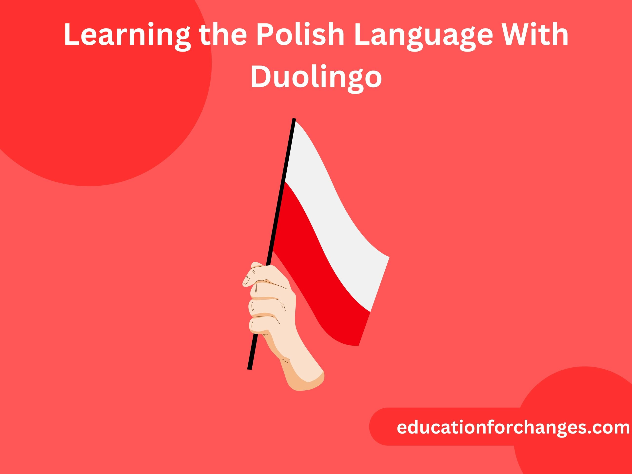 Learning the Polish Language With Duolingo