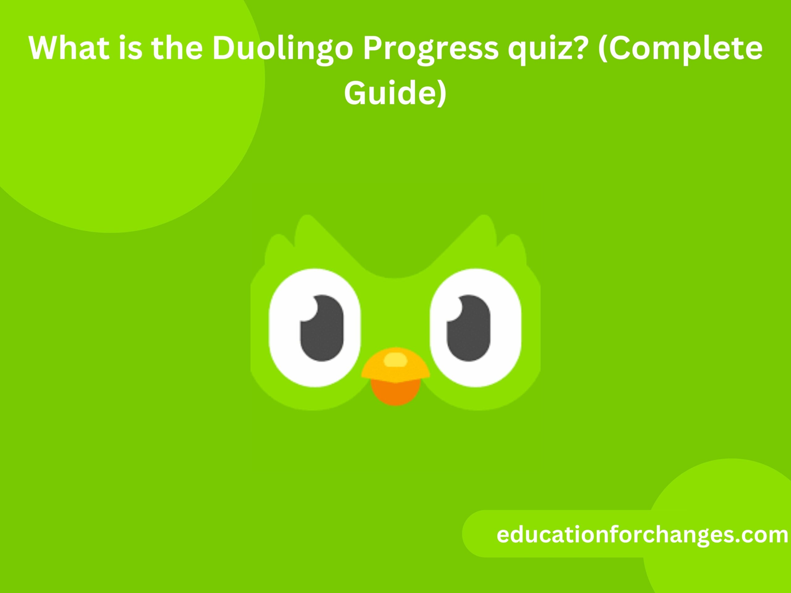 What is the Duolingo Progress quiz? (Complete Guide)