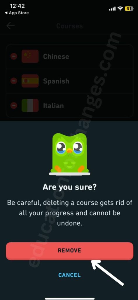 How to Remove a Language Course on Duolingo? (Step-by-Step Guide)