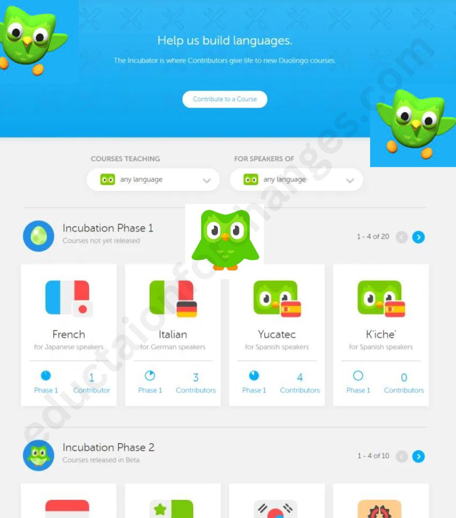 What Happened to the Duolingo Incubator? (Will It Come Back?)