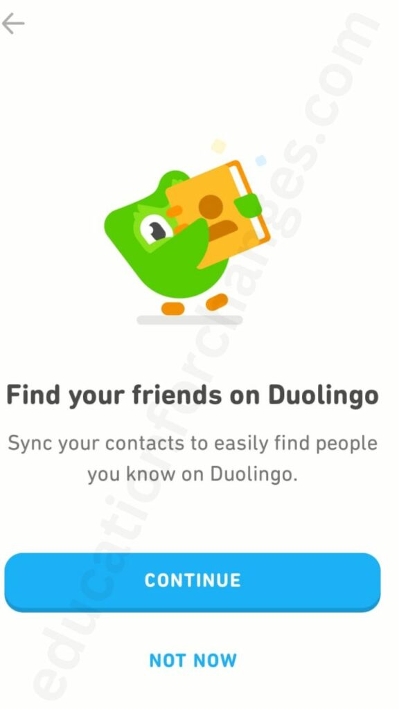 How To Add Friends On Duolingo? (Step-by-Step Process Explained)