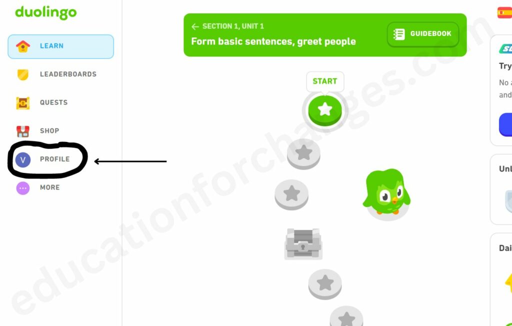 How To Add Friends On Duolingo? (Step-by-Step Process Explained)