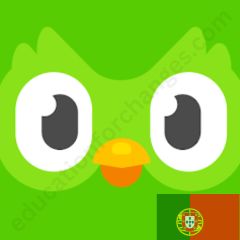 Learning Portuguese with Duolingo In-depth Guide