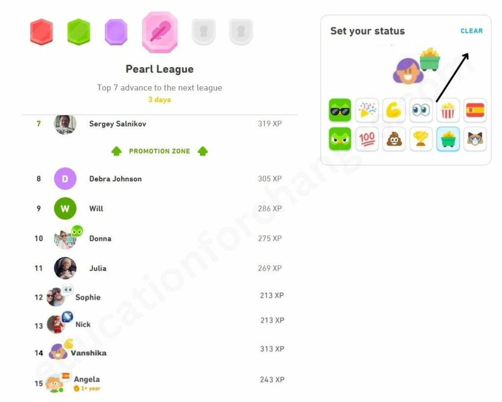 Duolingo Status Icons Explained & How To Change Them?