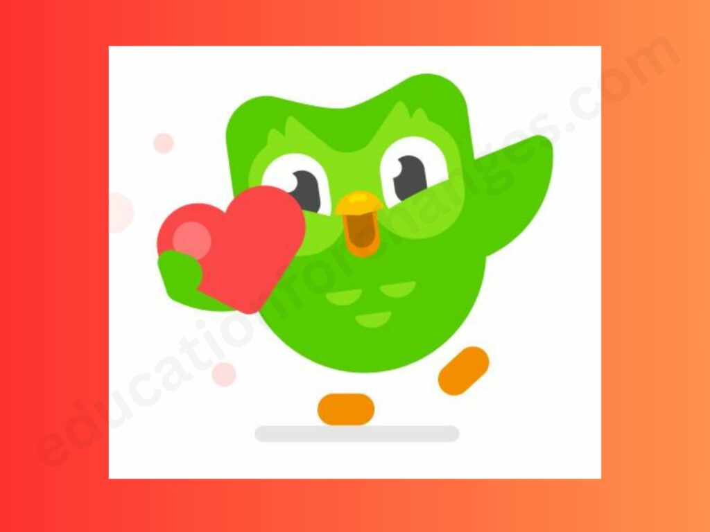 Is Duolingo Good To Learn Dutch? (Honest Review)