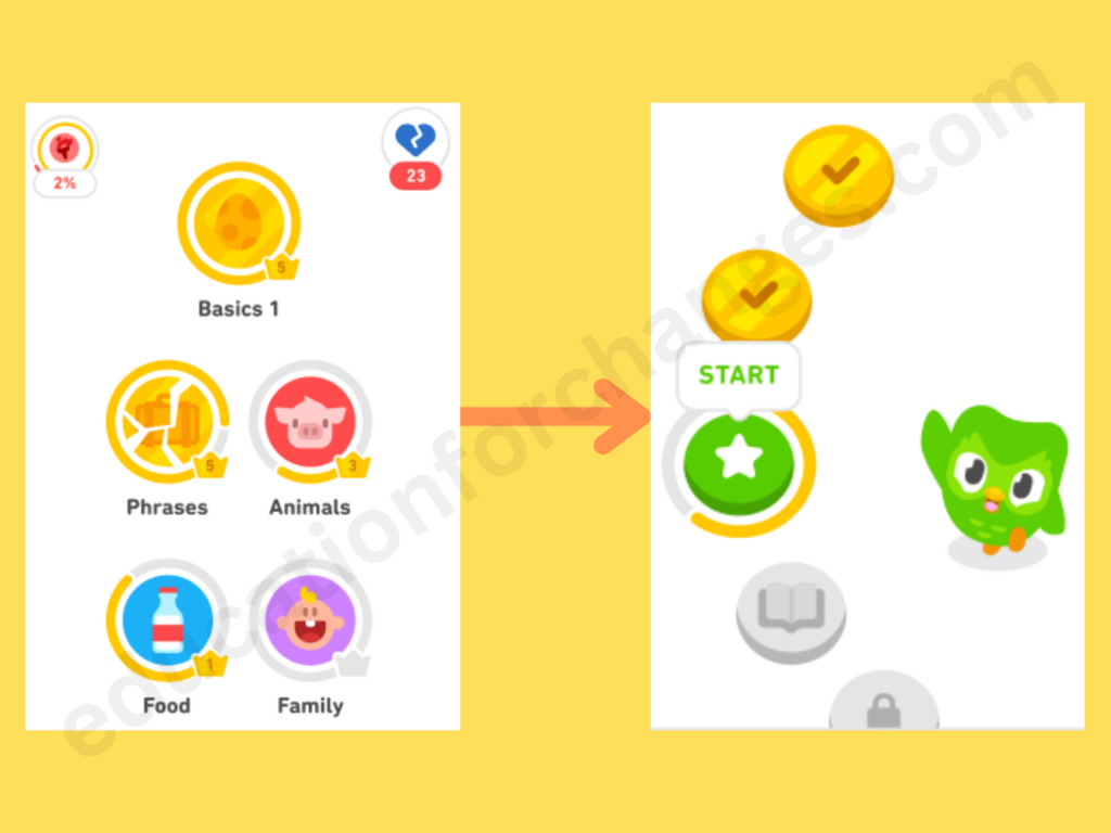 Duolingo's new learning path update: honest in-depth review (and what's changed?)