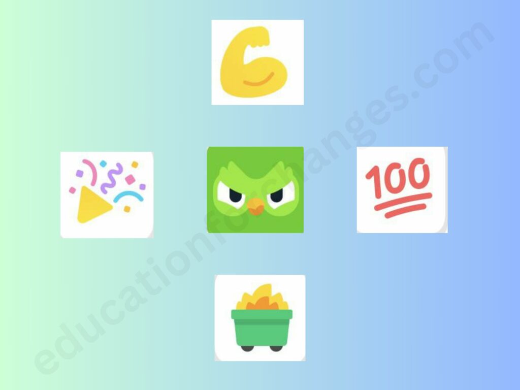 Duolingo Status Icons Explained & How To Change Them?