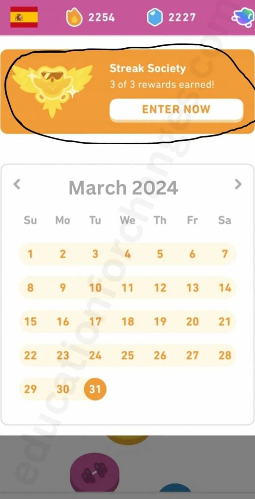 Duolingo Streak Society: What it is and What You Need To Know?