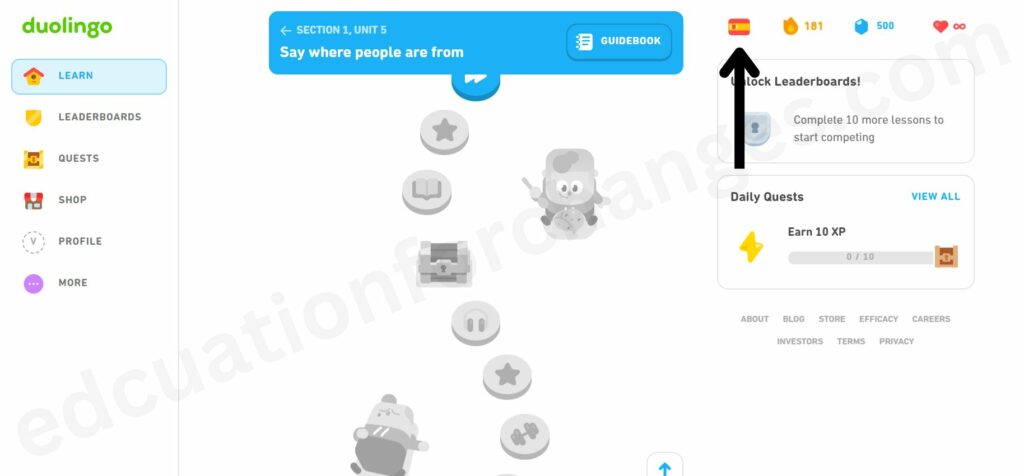 How To Change Language On Duolingo? (Step-by-Step Guide)