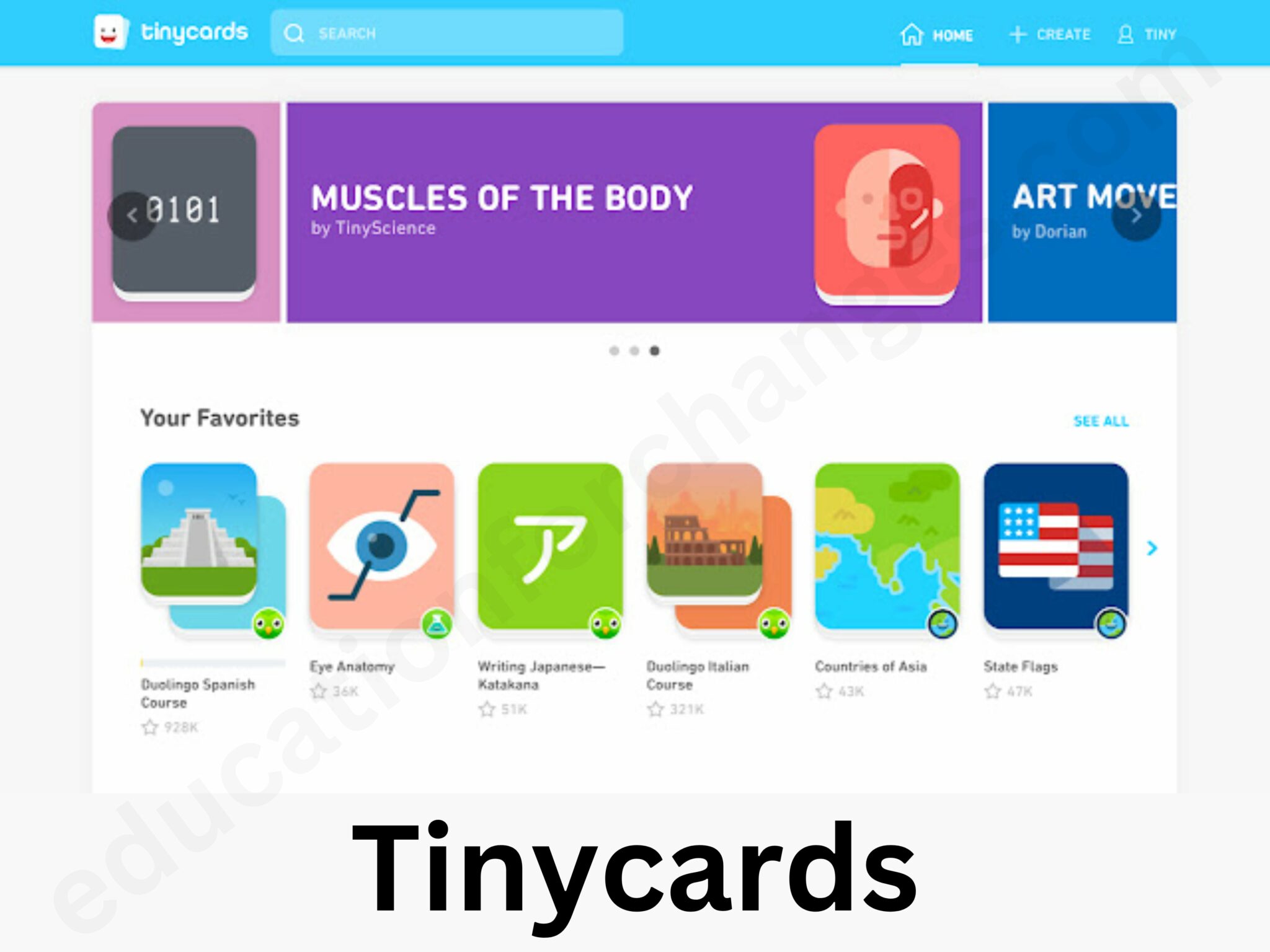Duolingo Flashcards for Busy Professionals