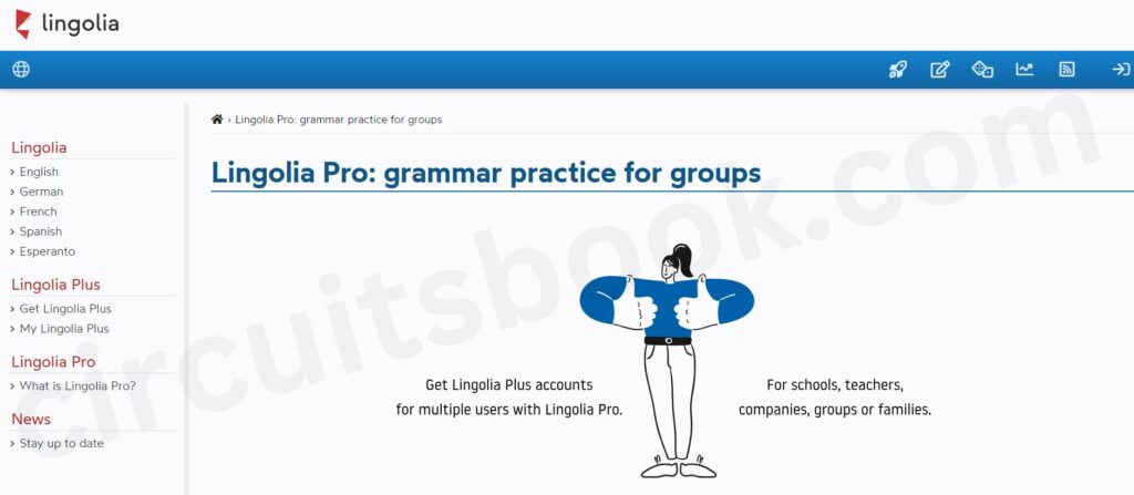 Lingolia Review: Best Tool to Learn Grammar