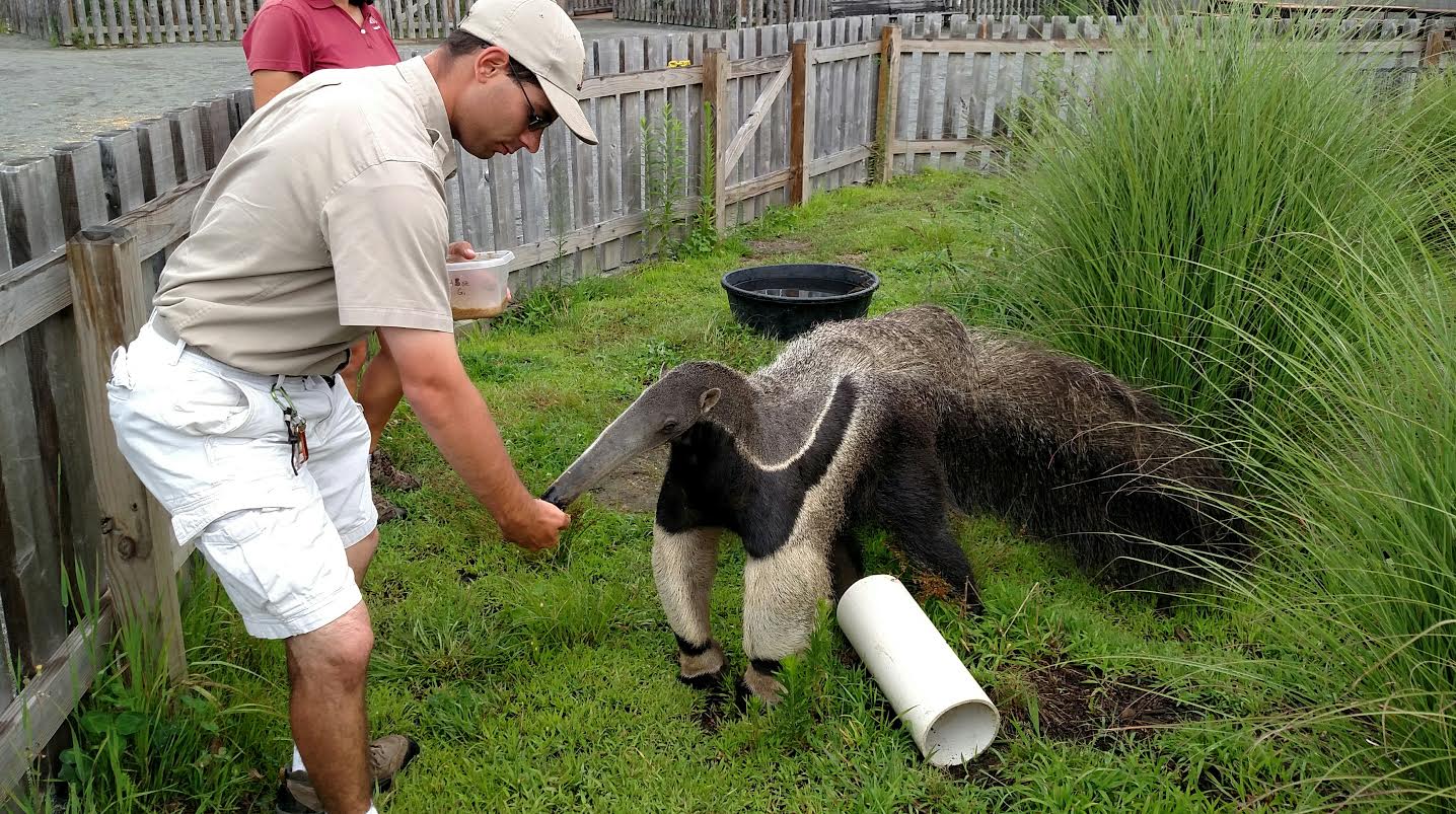 What degree do you need to be a Zookeeper?